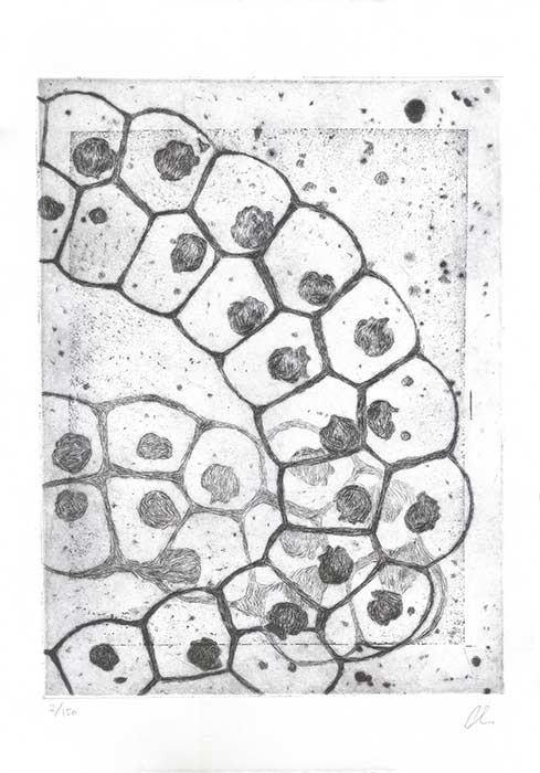 Microorganism 5