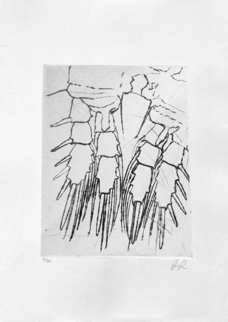 Claws