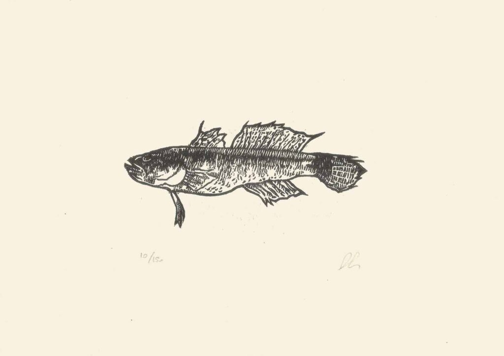 Goby fish
