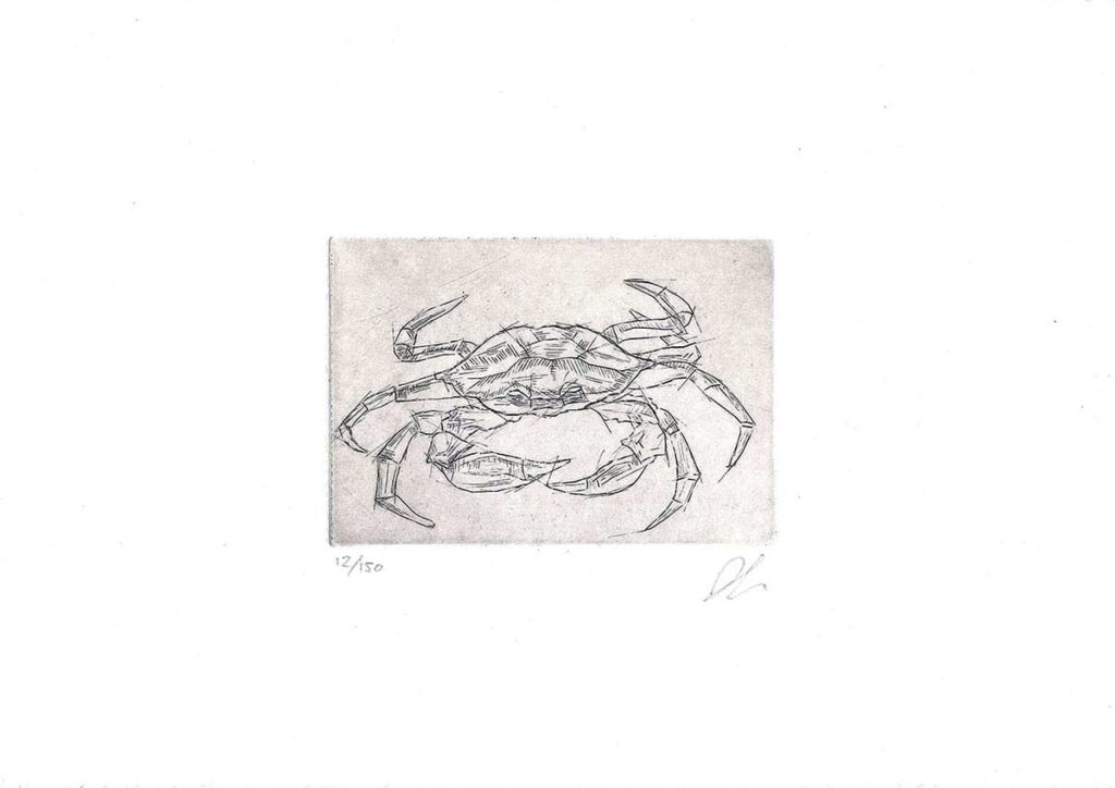 Shore Crab