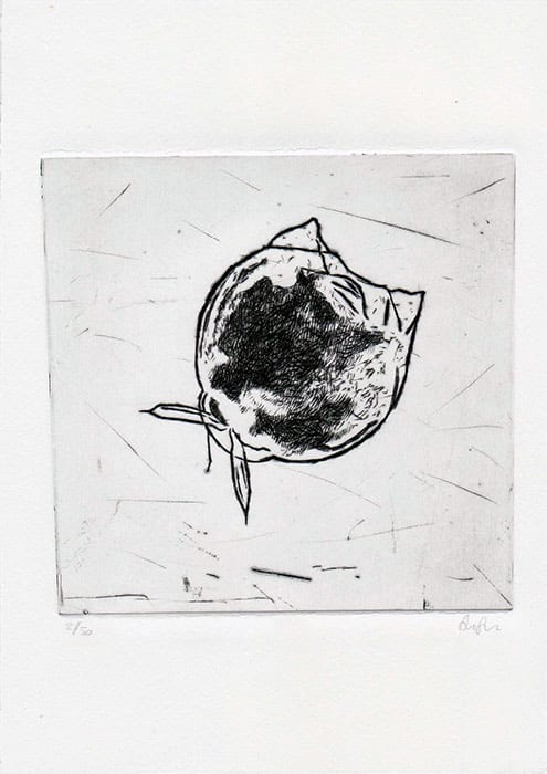 Microorganisms 2