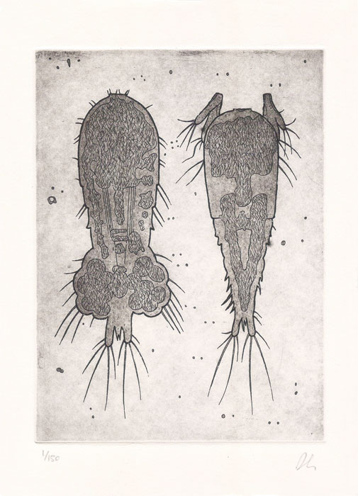 Microorganism 4