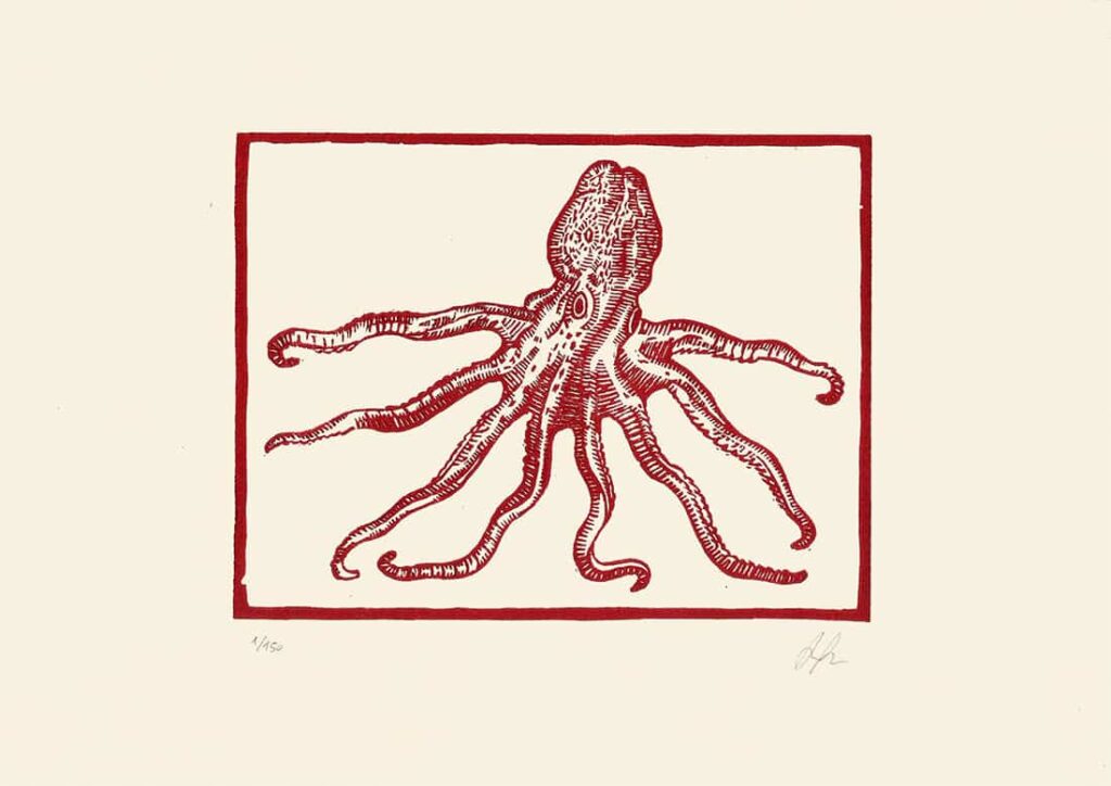 Octopus